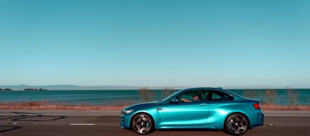 Casino Lion Slots Application Android/iOS